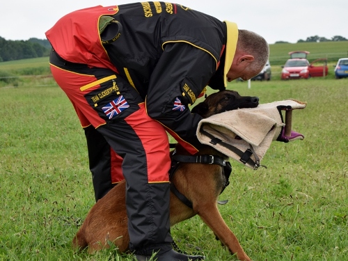 Personal Dog Training Suit for Sale